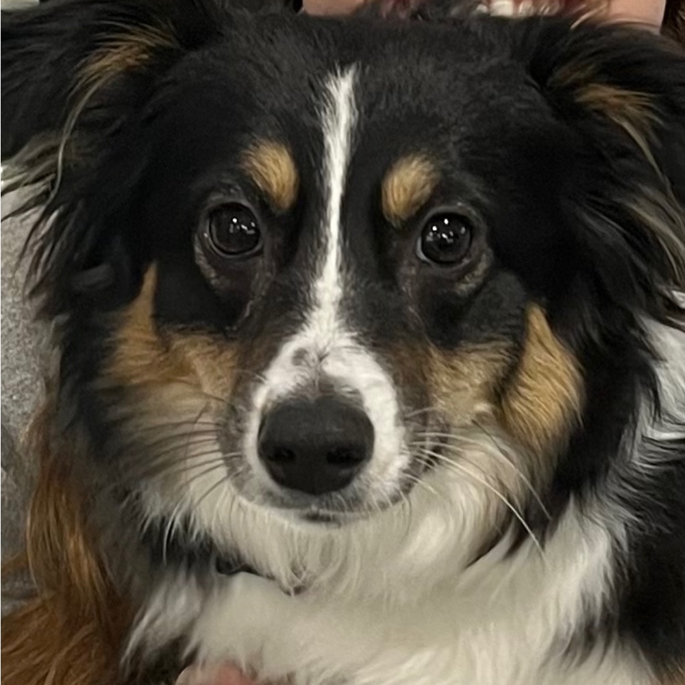 Meet your Posher, Elyse